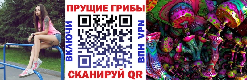 KRAKEN ссылки  сколько стоит  Великий Новгород  Галлюциногенные грибы прущие грибы 